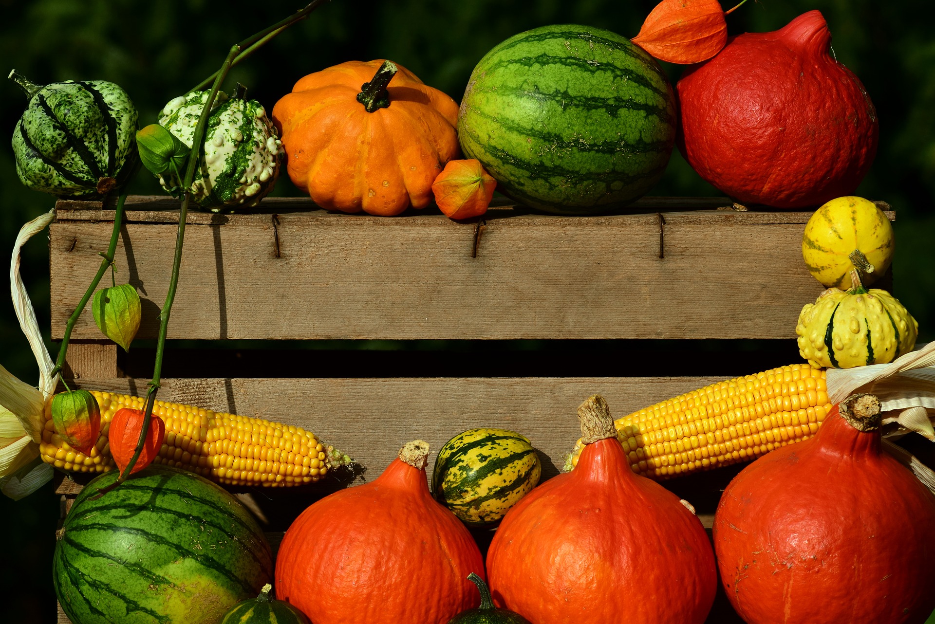 Liste de fruits et légumes de chaque saison